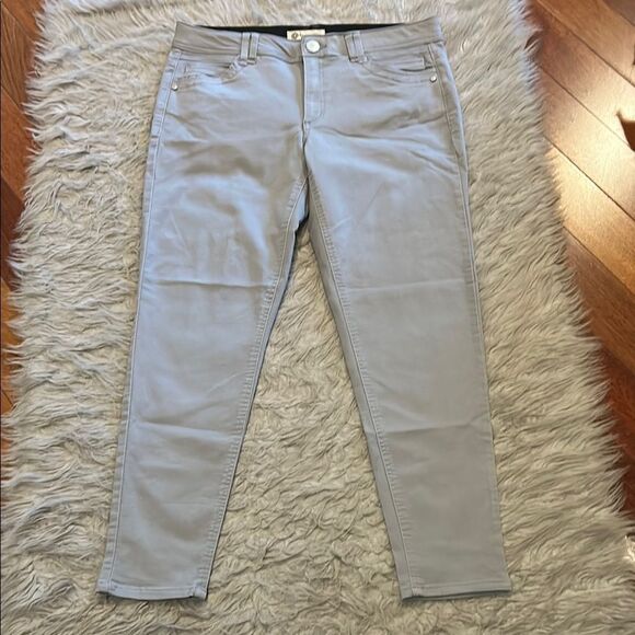 Democracy Ab Technology Gray Skinny Pants - Picture 1 of 6